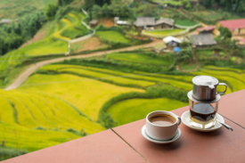 vietnam coffee
