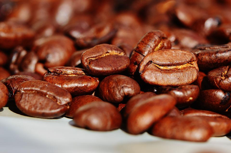 Addressing Concerns About Oily Coffee