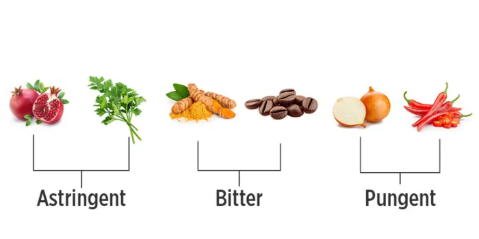 Understanding the Bitter Taste