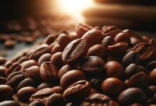 best coffee beans for espresso